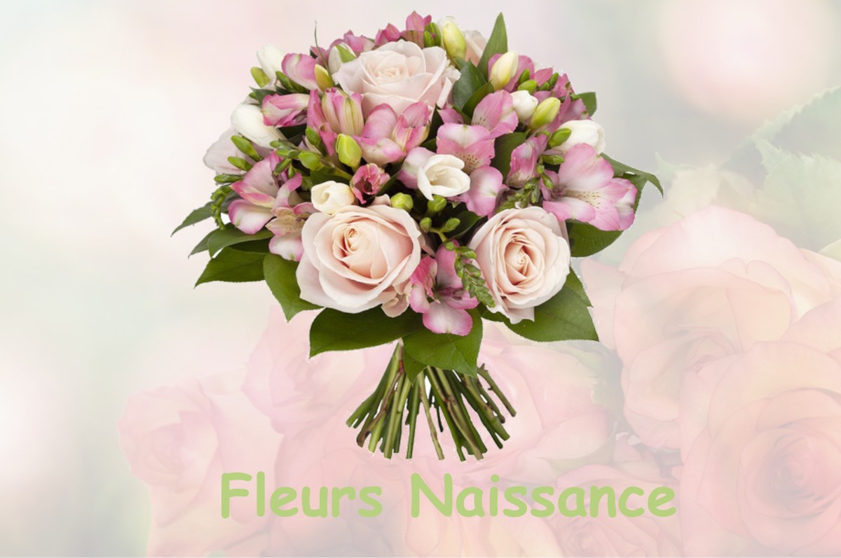 fleurs naissance SAUVOY