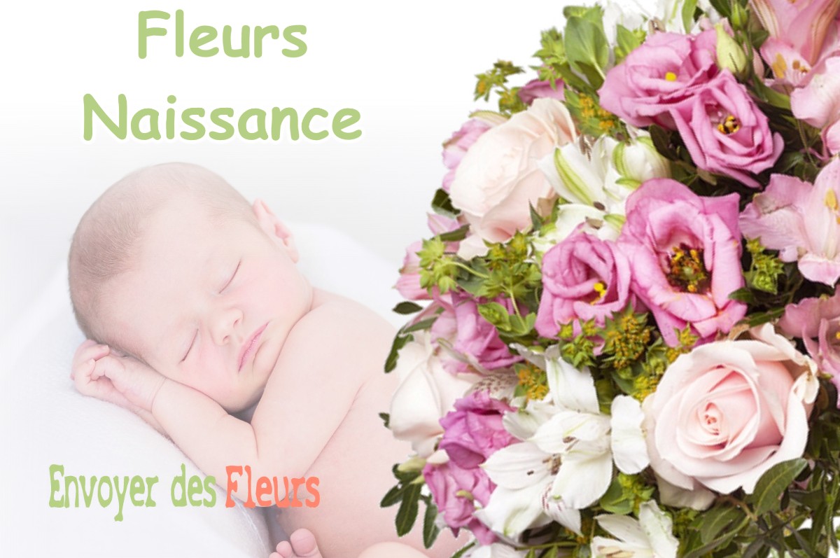 lIVRAISON FLEURS NAISSANCE à SAUVOY